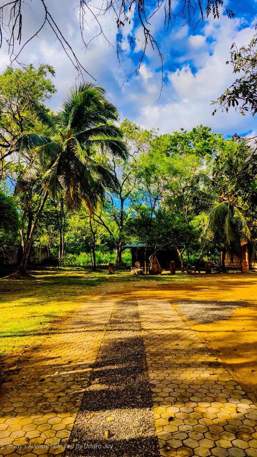 Jay'S Avenue Hotel Udawalawe Bagian luar foto