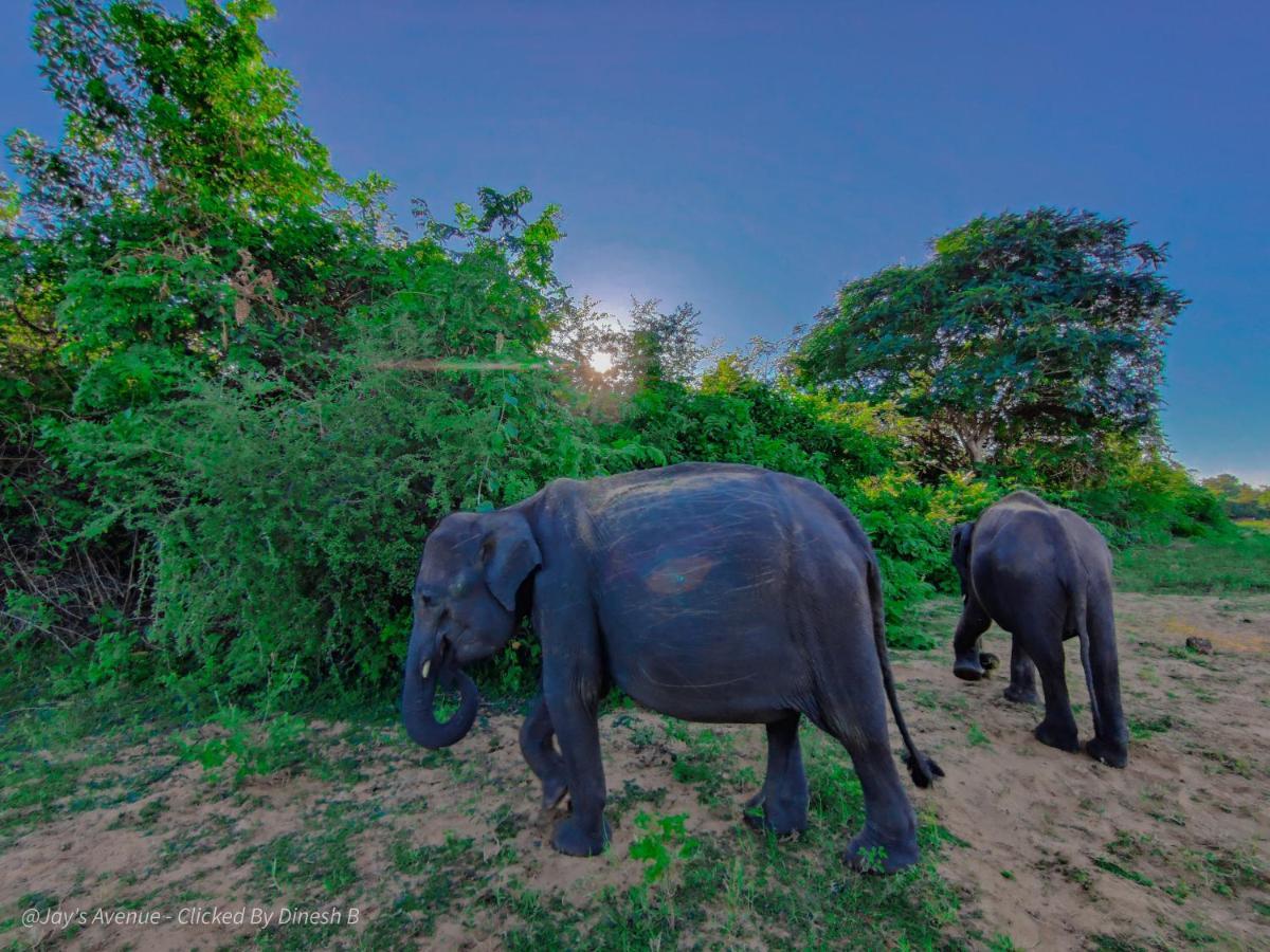 Jay'S Avenue Hotel Udawalawe Bagian luar foto